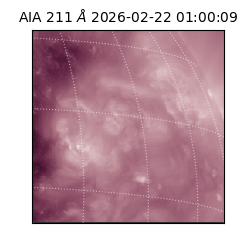 saia - 2026-02-22T01:00:09.633000