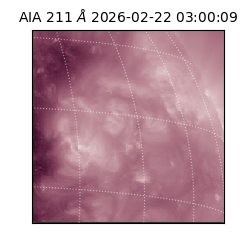 saia - 2026-02-22T03:00:09.626000