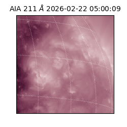 saia - 2026-02-22T05:00:09.622000