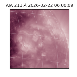 saia - 2026-02-22T06:00:09.626000