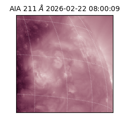 saia - 2026-02-22T08:00:09.632000