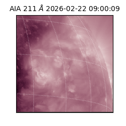 saia - 2026-02-22T09:00:09.626000