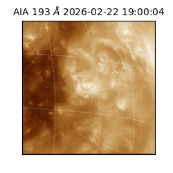 saia - 2026-02-22T19:00:04.843000