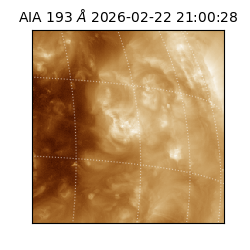 saia - 2026-02-22T21:00:28.843000