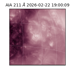 saia - 2026-02-22T19:00:09.631000