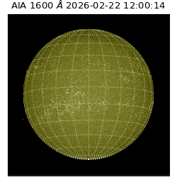 saia - 2026-02-22T12:00:14.126000