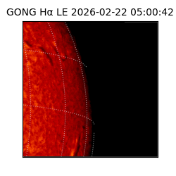 gong - 2026-02-22T05:00:42