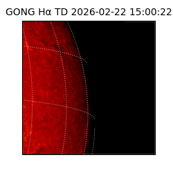 gong - 2026-02-22T15:00:22