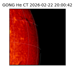 gong - 2026-02-22T20:00:42
