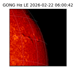 gong - 2026-02-22T06:00:42