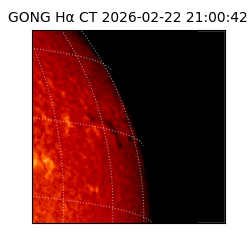 gong - 2026-02-22T21:00:42