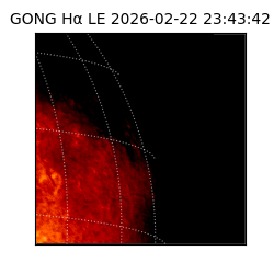 gong - 2026-02-22T23:43:42