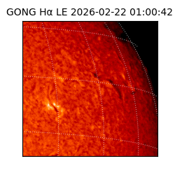 gong - 2026-02-22T01:00:42