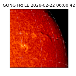 gong - 2026-02-22T06:00:42