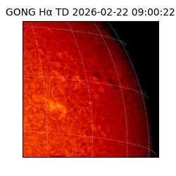 gong - 2026-02-22T09:00:22