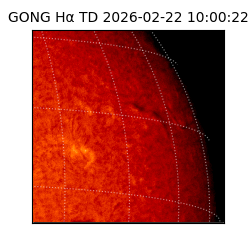gong - 2026-02-22T10:00:22