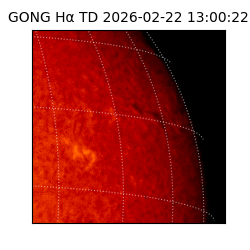 gong - 2026-02-22T13:00:22