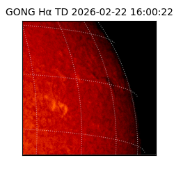 gong - 2026-02-22T16:00:22