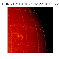 gong - 2026-02-22T18:00:22