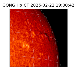 gong - 2026-02-22T19:00:42