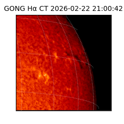 gong - 2026-02-22T21:00:42