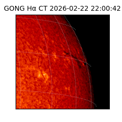 gong - 2026-02-22T22:00:42