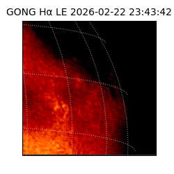 gong - 2026-02-22T23:43:42