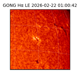 gong - 2026-02-22T01:00:42