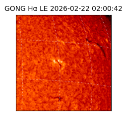 gong - 2026-02-22T02:00:42