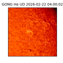 gong - 2026-02-22T04:00:02