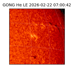 gong - 2026-02-22T07:00:42