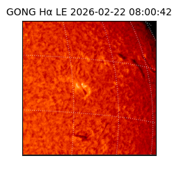 gong - 2026-02-22T08:00:42