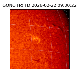 gong - 2026-02-22T09:00:22