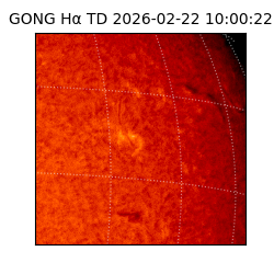 gong - 2026-02-22T10:00:22