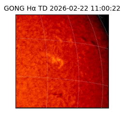 gong - 2026-02-22T11:00:22