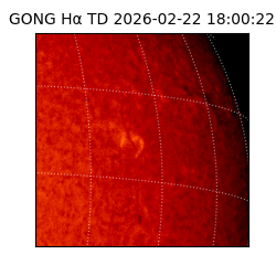 gong - 2026-02-22T18:00:22