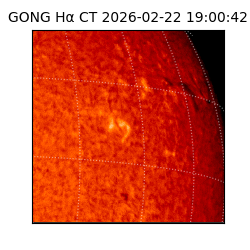 gong - 2026-02-22T19:00:42