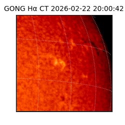 gong - 2026-02-22T20:00:42