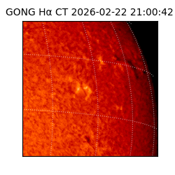 gong - 2026-02-22T21:00:42