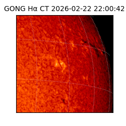 gong - 2026-02-22T22:00:42