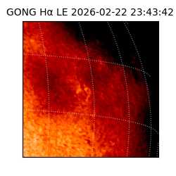 gong - 2026-02-22T23:43:42