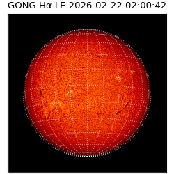 gong - 2026-02-22T02:00:42