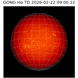 gong - 2026-02-22T09:00:22