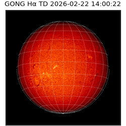 gong - 2026-02-22T14:00:22