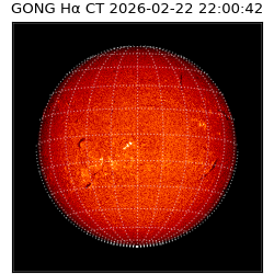 gong - 2026-02-22T22:00:42