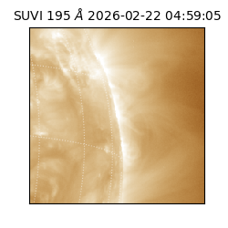 suvi - 2026-02-22T04:59:05.291000