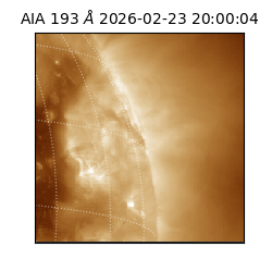 saia - 2026-02-23T20:00:04.843000