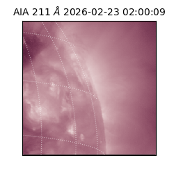 saia - 2026-02-23T02:00:09.618000