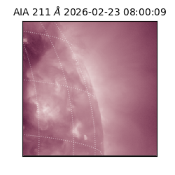 saia - 2026-02-23T08:00:09.618000