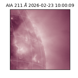 saia - 2026-02-23T10:00:09.626000